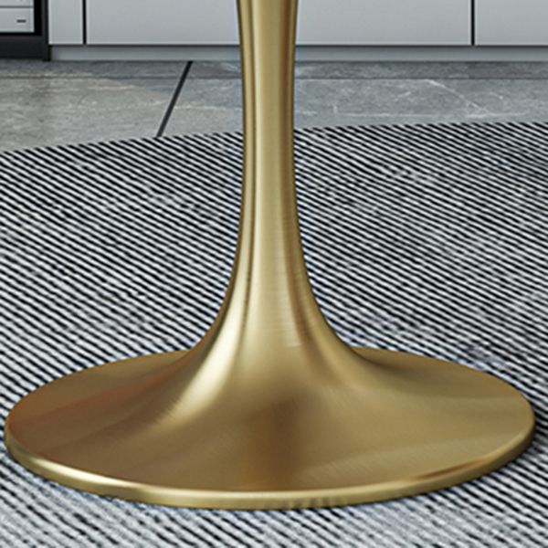 Round Luxury Dining Table White Fixed Table with Sintered Stone Clearhalo 'Dining Tables & Seating' 'Dining Tables' 'dining_table' 'furn' 'furn_dining_table' 'Furniture' 'furniture_dining_table' 'Kitchen & Dining Furniture' 'kitchen' 'kitchen_dining_table' 1200x1200_8e791148-0d4a-4c4f-9636-e0812b746c07