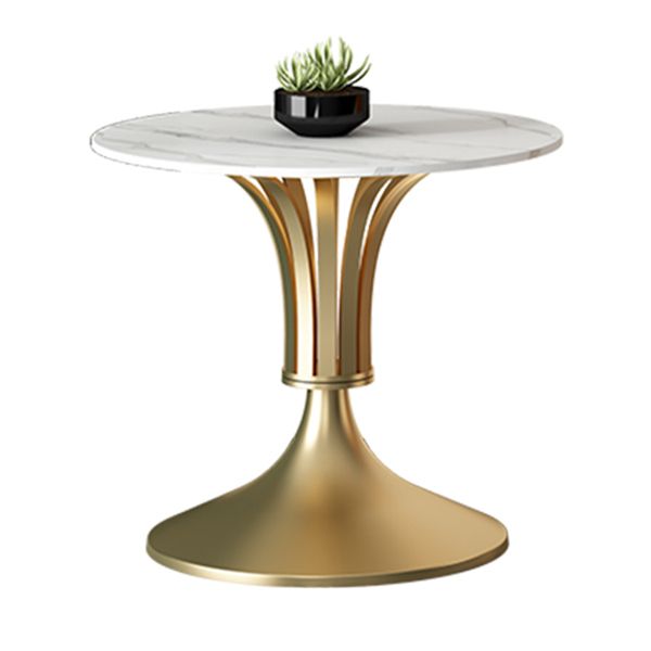 Round Shape White Dining Table Sintered Stone Table Contemporary with Tulip Base Clearhalo ' dining_table' 'Dining Tables & Seating' 'Dining Tables' 'furn' 'furn_dining_table' 'Furniture' 'furniture_dining_table' 'Kitchen & Dining Furniture' 'kitchen&dining_furn' 'kitchen' 'kitchen_dining_table' 1200x1200_8ec3fefc-71e3-420c-86f4-2e72847c0817