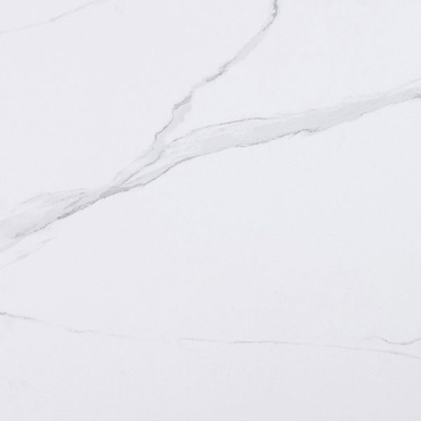 Rectangle White Tone Dining Table Sintered Stone Table Retro Modern with 4 Legs Clearhalo ' dining_table' 'Dining Tables & Seating' 'Dining Tables' 'furn' 'furn_dining_table' 'Furniture' 'furniture_dining_table' 'Kitchen & Dining Furniture' 'kitchen&dining_furn' 'kitchen' 'kitchen_dining_table' 1200x1200_8ec4b59a-3154-4684-b56a-4cd2615bd9d6