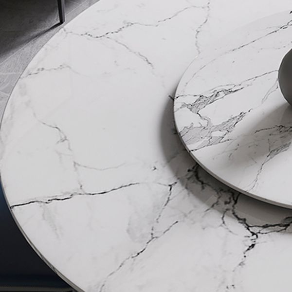 Contemporary Style Marble Table Round Pedestal Base Dining Table with Turntable Clearhalo ' dining_table' 'Dining Tables & Seating' 'Dining Tables' 'furn' 'furn_dining_table' 'Furniture' 'furniture_dining_table' 'Kitchen & Dining Furniture' 'kitchen&dining_furn' 'kitchen' 'kitchen_dining_table' 1200x1200_8f00f8ea-0144-4d27-b10a-9288d08618fa