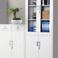 Glass Storage File Cabinet Contemporary Shelves Locking File Cabinet