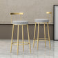 Glam Backrest Armless Counter Stool Iron Household Bar Stool with Cushion Clearhalo 'Bar Furniture' 'Bar Stools' 'bar_stools' 'furn' 'furn_bar_stools' 'furniture_bar_stools' 'Kitchen & Dining Furniture' 'kitchen&dining_furn' 'kitchen' 'kitchen_furn' Furniture' 1200x1200_8f4056b4-dc34-4951-a1da-ea5b549df493