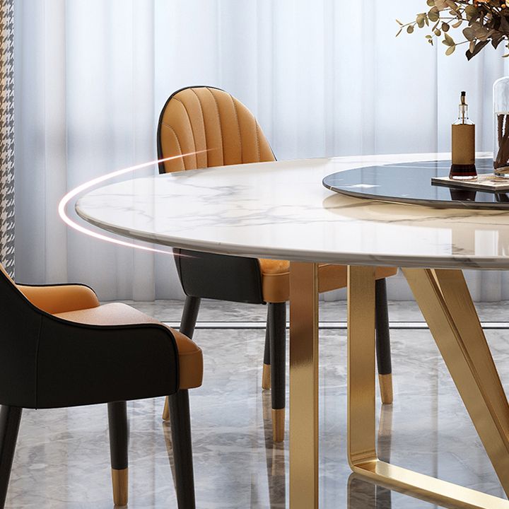 Round Furniture Luxury Style Marble Double Pedestal Dinner Table with Turntable Clearhalo ' dining_table' 'Dining Tables & Seating' 'Dining Tables' 'furn' 'furn_dining_table' 'Furniture' 'furniture_dining_table' 'Kitchen & Dining Furniture' 'kitchen&dining_furn' 'kitchen' 'kitchen_dining_table' 1200x1200_8f85dfe2-4d8c-4925-920e-6e6751b8669a