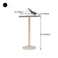 Stone Bar Dining Table Glam Round /Square Bar Table with Pedestal for Dining Room Clearhalo 'Bar Furniture' 'Bar Tables' 'bar_tables' 'furn' 'furn_bar_tables' 'Furniture' 'furniture_bar_tables' 'Kitchen & Dining Furniture' 1200x1200_8fce656d-734f-4ec9-bc1d-d2195ce8f335