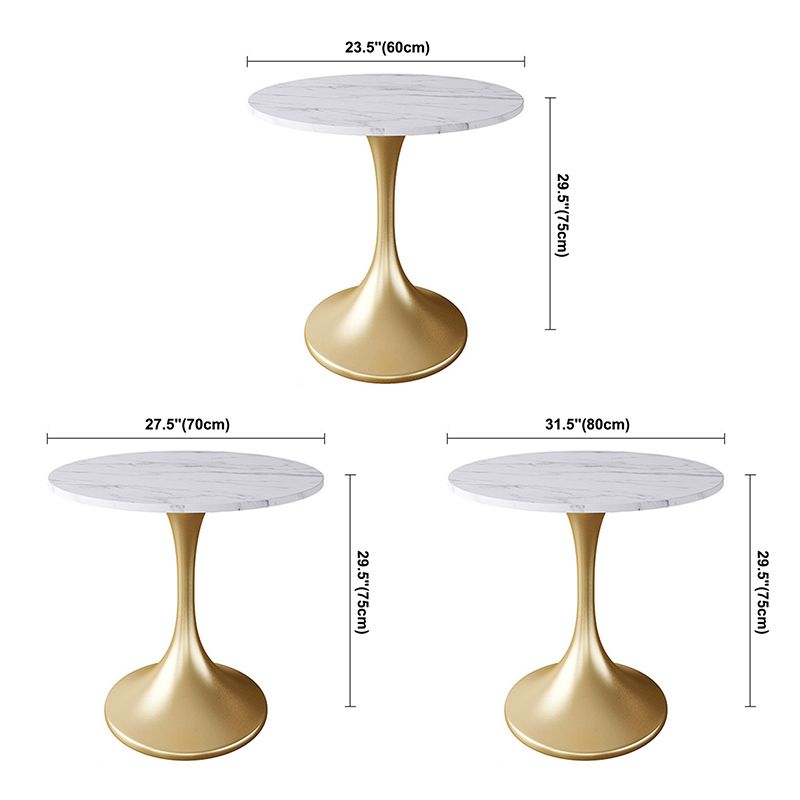 Round Tulip Base Luxury Dining Table White Fixed Table with Sintered Stone Clearhalo ' dining_table' 'Dining Tables & Seating' 'Dining Tables' 'furn' 'furn_dining_table' 'Furniture' 'furniture_dining_table' 'Kitchen & Dining Furniture' 'kitchen&dining_furn' 'kitchen' 'kitchen_dining_table' 1200x1200_9078f007-00a1-41df-8395-53a4589ce318