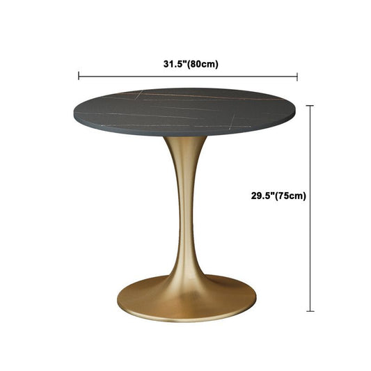 Glam Black Sintered Stone Dining Table Set Round 1/2/3/4/5 Pieces Dining Set Clearhalo 'Dining Room Sets' 'Dining Tables & Seating' 'dining_room_set' 'furn' 'furn_dining_room_set' 'Furniture' 'Kitchen & Dining Furniture' 1200x1200_90c66c49-c2e2-4249-bb5b-837eebe975fa