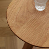 Ash Wood 2 gambe tavolino da caffè ellittico 2 tavolo da cocktail nidificante