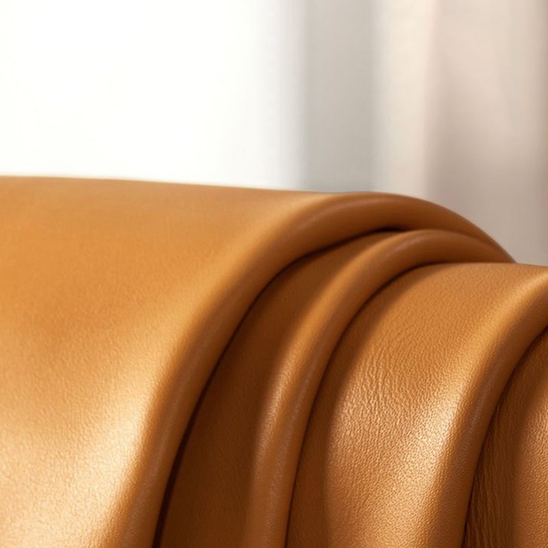 Stationary Living Room Pillow Top Arm Standard Cushions Sofa Chaise Clearhalo 'furn' 'furn_sofas' 'Furniture' 'furniture_sofas' 'kitchen' 'kitchen_sofas' 'Living Room Furniture' 'Sofa' 'sofas' 1200x1200_91088821-5987-41c2-8d48-98e84d3ee803