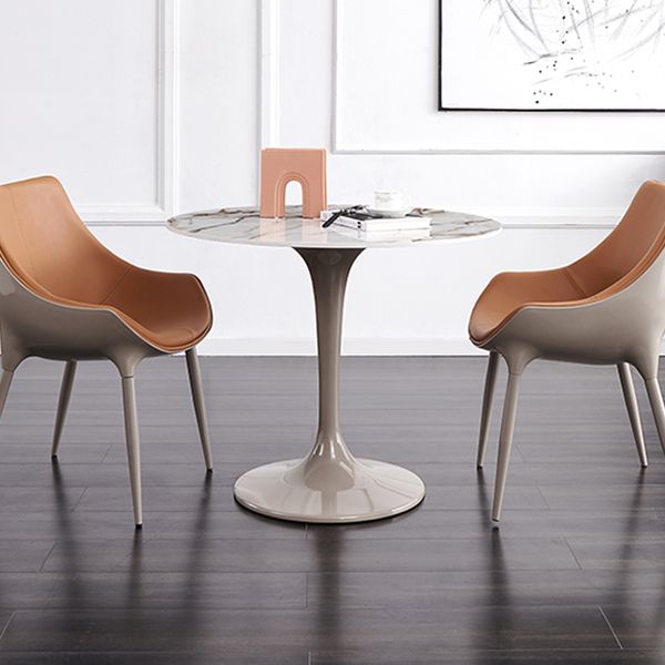 Modern Style Sintered Stone Dining Table White Round Tulip Base Dining Table Clearhalo ' dining_table' 'Dining Tables & Seating' 'Dining Tables' 'furn' 'furn_dining_table' 'Furniture' 'furniture_dining_table' 'Kitchen & Dining Furniture' 'kitchen&dining_furn' 'kitchen' 'kitchen_dining_table' 1200x1200_91241ce8-4d19-4c8d-993d-a108c343699b