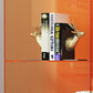 Standard Closed Back Bookshelf Modern Style Acrylbuchhandel