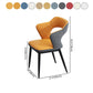 Contemporary Home Upholstered Arm Chair Matte Finish Open Back Dining Chair Clearhalo ' kitchen&dining_furn' 'Dining Chairs' 'Dining Tables & Seating' 'dining_chair' 'furn' 'furn_dining_chair' 'Furniture' 'furniture_dining_chair' 'Kitchen & Dining Furniture' 'kitchen' 1200x1200_913b4a5e-9deb-4ab7-a4ab-7a7eaea2cee7