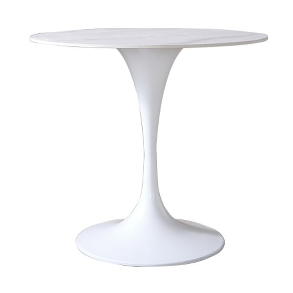 Round Sintered Stone White Dining Table Simplicity Tulip Base Table for Dining Room Clearhalo ' dining_table' 'Dining Tables & Seating' 'Dining Tables' 'furn' 'furn_dining_table' 'Furniture' 'furniture_dining_table' 'Kitchen & Dining Furniture' 'kitchen&dining_furn' 'kitchen' 'kitchen_dining_table' 1200x1200_913ebea8-ec13-4e32-a042-bdb013f2b0e8