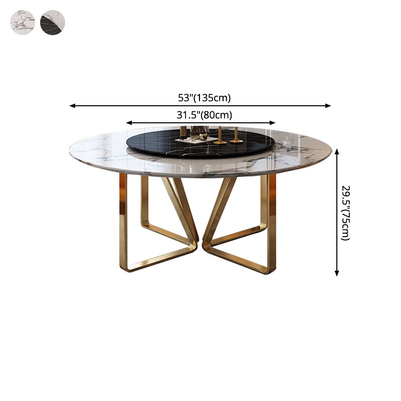 Round Furniture Luxury Style Marble Double Pedestal Dinner Table with Turntable Clearhalo ' dining_table' 'Dining Tables & Seating' 'Dining Tables' 'furn' 'furn_dining_table' 'Furniture' 'furniture_dining_table' 'Kitchen & Dining Furniture' 'kitchen&dining_furn' 'kitchen' 'kitchen_dining_table' 1200x1200_91fb37c0-3ecd-4cea-9b6a-a89d33bed6ca