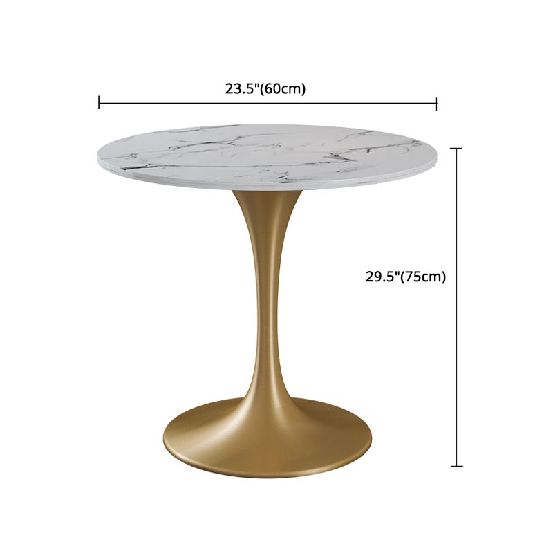 Glam 1/4/5 Pieces Dining Set Sintered Stone Dining Table Set for Dining Areas Clearhalo 'Dining Room Sets' 'Dining Tables & Seating' 'dining_room_set' 'furn' 'furn_dining_room_set' 'Furniture' 'furniture_dining_room_set' 'Kitchen & Dining Furniture' 1200x1200_92097893-23e6-48e7-97f3-f99c963c3b0a