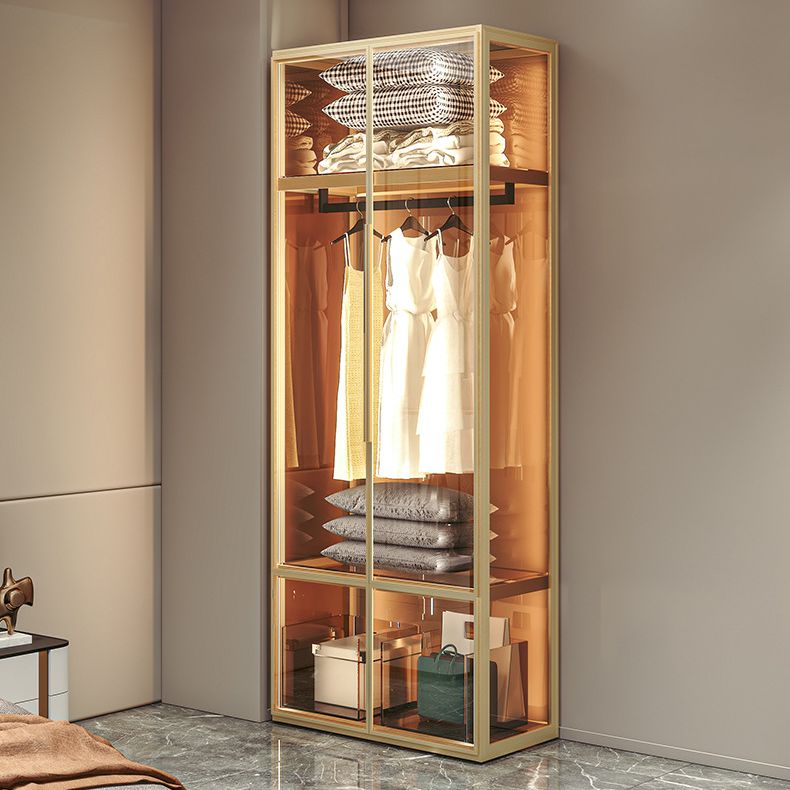 Metal Storage Cabinet with Glass Doors Contemporary Hinged Door Cabinet Clearhalo 'Armoires & Wardrobes' 'armoires_wardrobes' 'Bedroom Furniture' 'furn' 'furn_armoires_wardrobes' 'Furniture' 1200x1200_9213a98a-6e80-4b2d-b3e6-afdbf765e293