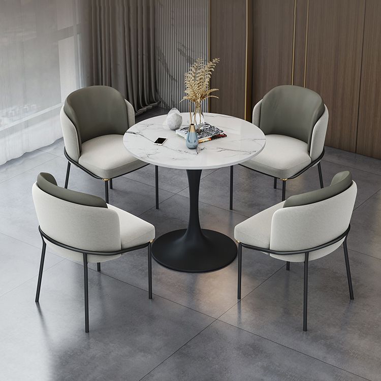 Modern 1/2/5 Pieces Sintered Stone Dining Set Dining Furniture Set /Separate Items Clearhalo 'Dining Room Sets' 'Dining Tables & Seating' 'dining_room_set' 'furn' 'furn_dining_room_set' 'Furniture' 'furniture_dining_room_set' 'Kitchen & Dining Furniture' 'kitchen&dining_furn' 'kitchen' 1200x1200_9234f86b-54b7-401f-95dd-9ff9e7f4cf0b
