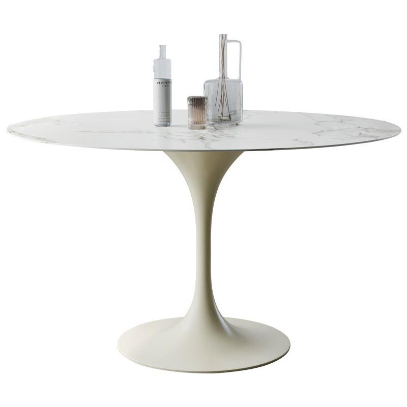 Stone Top Dining Table Modern Round Table with Pedestal Base Clearhalo 'Dining Tables & Seating' 'Dining Tables' 'dining_table' 'furn' 'furn_dining_table' 'Furniture' 'furniture_dining_table' 'Kitchen & Dining Furniture' 'kitchen' 'kitchen_dining_table' 1200x1200_92675f06-8a33-4f05-a01c-e02186ac14af