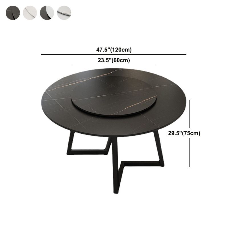 Round Sintered Stone Dining Table Modern Furniture with Double Pedestal for Home Clearhalo 'Dining Tables & Seating' 'Dining Tables' 'dining_table' 'furn' 'furn_dining_table' 'Furniture' 'Kitchen & Dining Furniture' 1200x1200_9349a3d6-db7e-4627-8f2c-578a7feb8ae3