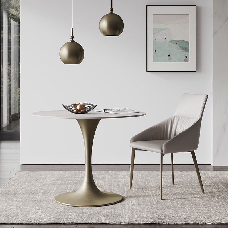 Glam Round Dining Set 1/2/3 Pcs Sintered Stone Dining Table with Armless Chairs Clearhalo 'Dining Room Sets' 'Dining Tables & Seating' 'dining_room_set' 'furn' 'furn_dining_room_set' 'Furniture' 'Kitchen & Dining Furniture' 1200x1200_938e10fe-3755-4006-b01a-115733a4fbcc