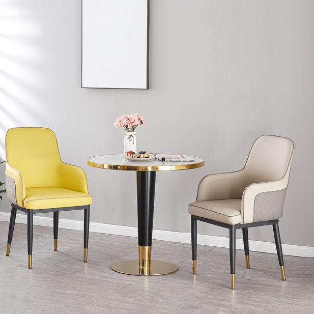 Contemporary Style Dining Side Chair Kitchen Arm Chair with Metal Legs Clearhalo ' kitchen&dining_furn' 'Dining Chairs' 'Dining Tables & Seating' 'dining_chair' 'furn' 'furn_dining_chair' 'Furniture' 'furniture_dining_chair' 'Kitchen & Dining Furniture' 'kitchen' 1200x1200_93f46d56-a96b-4f63-b1cb-cabc2ad05ca7