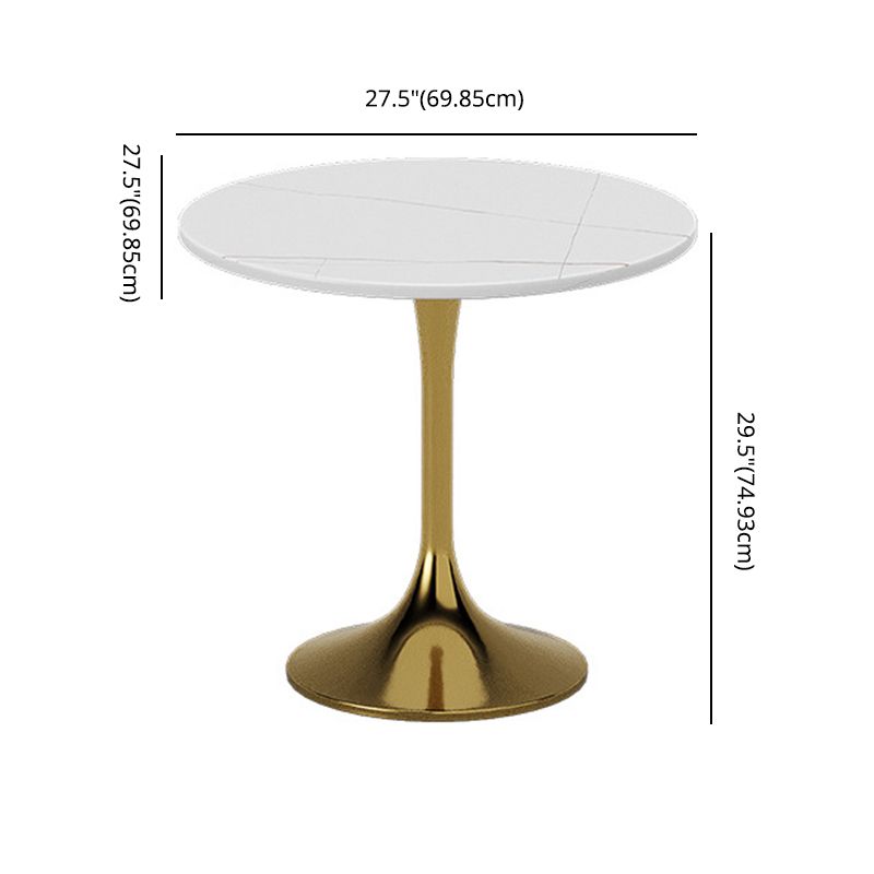 Glam Sintered Stone Dining Room Set with Round Table Formal Dining Table Furniture Clearhalo 'Dining Room Sets' 'Dining Tables & Seating' 'dining_room_set' 'furn' 'furn_dining_room_set' 'Furniture' 'furniture_dining_room_set' 'Kitchen & Dining Furniture' 'kitchen&dining_furn' 'kitchen' 1200x1200_942f867b-9f48-4c2a-8ab8-058f4fca09aa