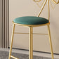 Glam Armless Backrest Counter Stool Iron Cashier Bar Stool with Cushion and Pedal Clearhalo 'Bar Furniture' 'Bar Stools' 'bar_stools' 'furn' 'furn_bar_stools' 'Furniture' 'Kitchen & Dining Furniture' 1200x1200_94713b89-8551-4f64-b917-a978b546612f