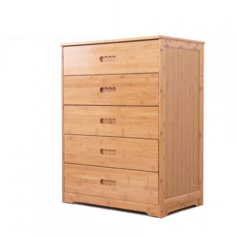 Contemporary Brown Accent Chest Rectangle Chest with Drawers