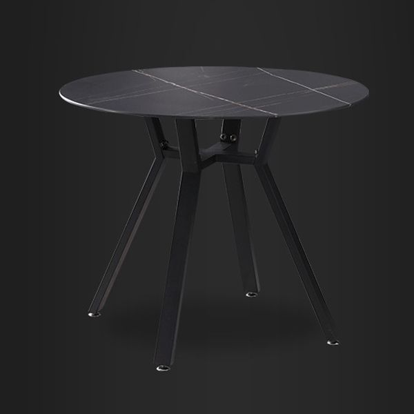 Modern Style Sintered Stone Dining Room Table Round Table with Metal Base Clearhalo ' dining_table' 'Dining Tables & Seating' 'Dining Tables' 'furn' 'furn_dining_table' 'Furniture' 'furniture_dining_table' 'Kitchen & Dining Furniture' 'kitchen&dining_furn' 'kitchen' 'kitchen_dining_table' 1200x1200_94a59c80-26ee-48a6-9982-c8a8b6439261