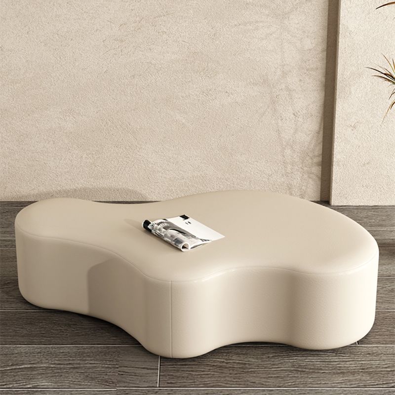 Modern Bedroom Entryway Bench Solid Wood Upholstered Seating Bench Clearhalo 'Benches' 'Chairs & Seating' 'furn' 'furn_benches' 'Furniture' 'Living Room Furniture' 1200x1200_94bd1cd7-880e-4911-99cb-9452e593b751