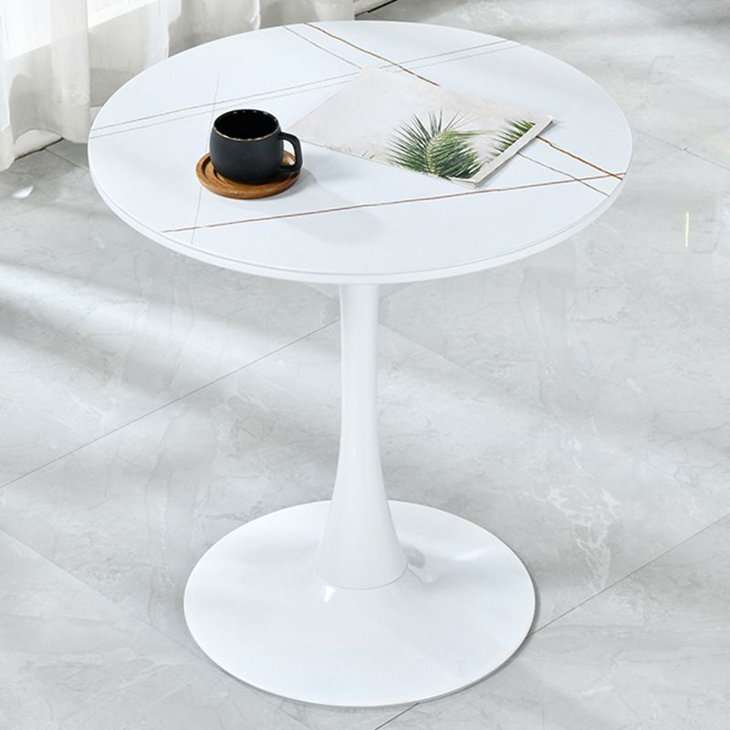 Round Shape Dining Table Simplicity Style Tulip Base Table for Dining Room Clearhalo ' dining_table' 'Dining Tables & Seating' 'Dining Tables' 'furn' 'furn_dining_table' 'Furniture' 'furniture_dining_table' 'Kitchen & Dining Furniture' 'kitchen&dining_furn' 'kitchen' 'kitchen_dining_table' 1200x1200_9508631f-ac9c-432d-b09a-9478c237e045