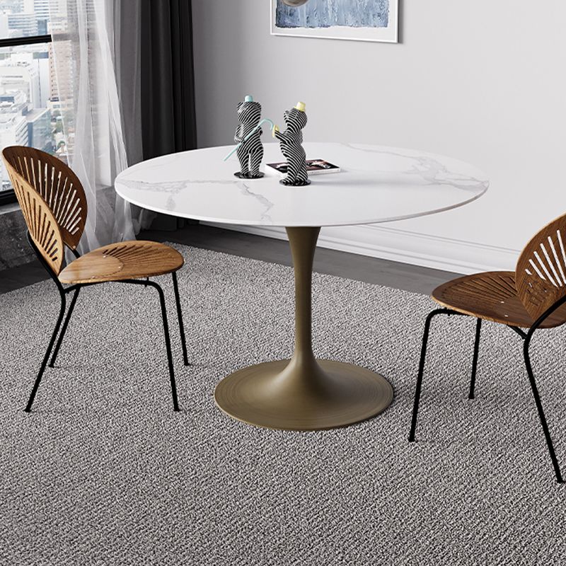 Simple Round Stone Top Dining Table Metal Base Dining Table for Living Room Clearhalo 'Dining Tables & Seating' 'Dining Tables' 'dining_table' 'furn' 'furn_dining_table' 'Furniture' 'furniture_dining_table' 'Kitchen & Dining Furniture' 'kitchen' 'kitchen_dining_table' 1200x1200_955ac835-08b4-41c7-a7a5-335efeb153ee