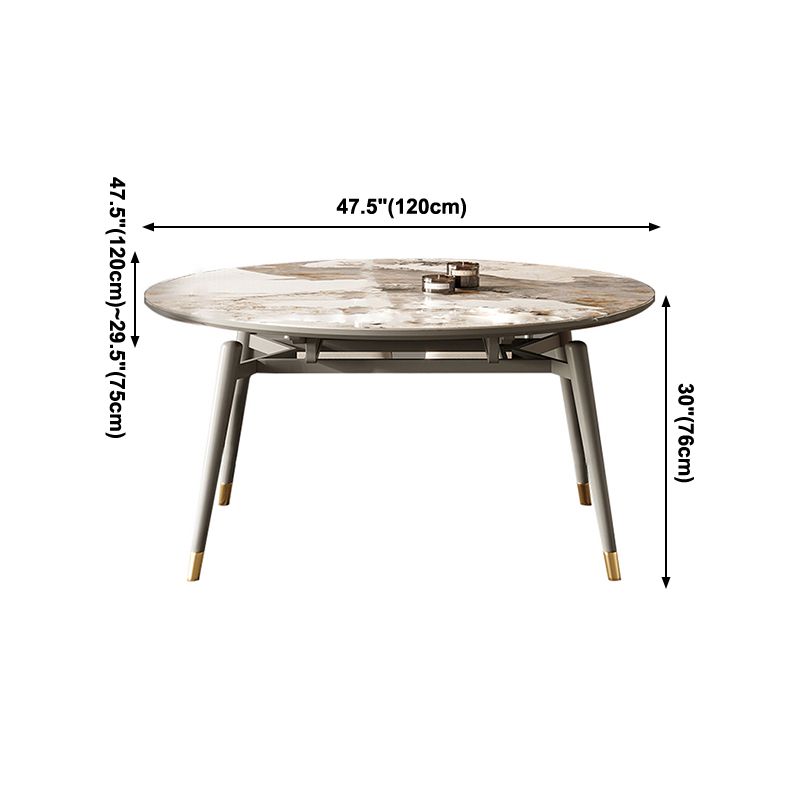 Modern Gray Round Shape Table Sintered Stone Kitchen Dining Table with 4 Legs Base Clearhalo ' dining_table' 'Dining Tables & Seating' 'Dining Tables' 'furn' 'furn_dining_table' 'Furniture' 'furniture_dining_table' 'Kitchen & Dining Furniture' 'kitchen&dining_furn' 'kitchen' 'kitchen_dining_table' 1200x1200_956b7799-94d1-4fee-af5e-fea8c4a75351