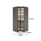 Glass and Wood Wardrobe Cabinet Modern Hinged Wardrobe Armoire
