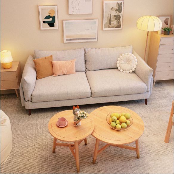 Contemporary Sewn Pillow Back Sofa with Pillow Top Arm for Apartment Clearhalo 'furn' 'furn_sofas' 'Furniture' 'furniture_sofas' 'kitchen' 'kitchen_sofas' 'Living Room Furniture' 'Sofa' 'sofas' 1200x1200_961afdcd-598b-48ff-a0da-b259db9a6d57