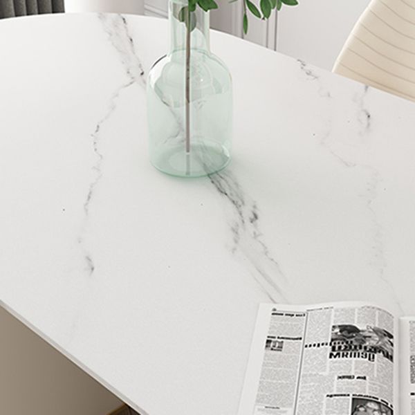 Metal Traditional Luxury Oval Table Sintered Stone Table for Dining Room Clearhalo ' dining_table' 'Dining Tables & Seating' 'Dining Tables' 'furn' 'furn_dining_table' 'Furniture' 'furniture_dining_table' 'Kitchen & Dining Furniture' 'kitchen&dining_furn' 'kitchen' 'kitchen_dining_table' 1200x1200_9651ed59-3cb5-4448-bdf3-a9d9e77a3fbd