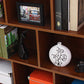 Closed Back Wooden Bookcase Matter Finish Modern Standard Bookshelf