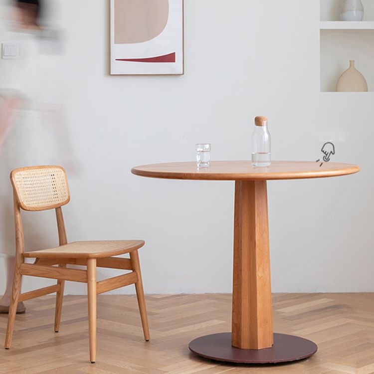 Solid Wood Traditional Dining Chair Matte Finish Open Back Dining Side Chair Clearhalo ' kitchen&dining_furn' 'Dining Chairs' 'Dining Tables & Seating' 'dining_chair' 'furn' 'furn_dining_chair' 'Furniture' 'furniture_dining_chair' 'Kitchen & Dining Furniture' 'kitchen' 1200x1200_97d178b2-e596-4740-9716-e054cefb832d