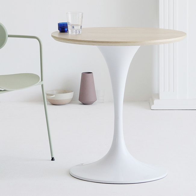 Contemporary Solid Wood Round Shape Dining Table Kitchen Standard Dining Table with Pedestal Base Clearhalo ' dining_table' 'Dining Tables & Seating' 'Dining Tables' 'furn' 'furn_dining_table' 'Furniture' 'furniture_dining_table' 'Kitchen & Dining Furniture' 'kitchen&dining_furn' 'kitchen' 'kitchen_dining_table' 1200x1200_98a06ea1-5d4d-49a4-9f3e-e77919d7a150