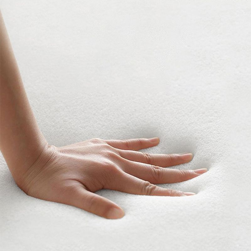 Contemporary 33.46" H Cotton Blend Armless Sleeper Sofa Bed in Beige Clearhalo 'furn' 'furn_futons' 'Furniture' 'Futons & Daybeds' 'Futons' 'Living Room Furniture' 1200x1200_991bcdc4-c59d-494a-ae04-3d29bd7048a6