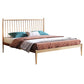 Glam Golden Finish Metallic Bed Wire-Grid Iron Bed Frame with Headboard