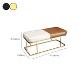 Metal Entryway Bench Modern Rectangle Seating Bench with Upholstered Clearhalo 'Benches' 'Chairs & Seating' 'furn' 'furn_benches' 'Furniture' 'Living Room Furniture' 1200x1200_994669f2-7eaa-4bbc-8eb2-aa6d8a1deb8b