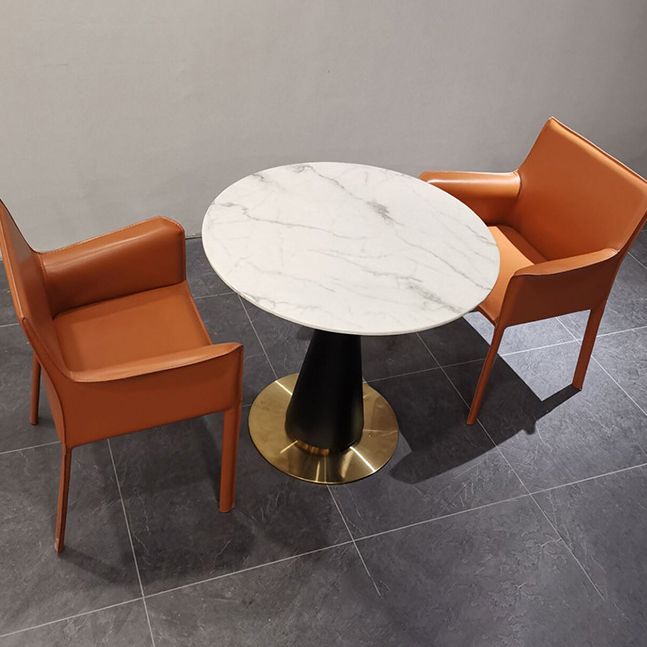 Designer Style Home Saddle Leather Arm Chair Matte Finish Solid Back Single Dining Chair Clearhalo ' kitchen&dining_furn' 'Dining Chairs' 'Dining Tables & Seating' 'dining_chair' 'furn' 'furn_dining_chair' 'Furniture' 'furniture_dining_chair' 'Kitchen & Dining Furniture' 'kitchen' 1200x1200_99bc8818-bd0e-4a69-ab24-c3f6b050d121