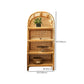 Contemporary Closed Back Bookshelf Standard Shelves Included Bookcase