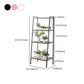 Contemporary Open Ladder Bookshelf Metal Vertical Bookshelf for Home Clearhalo 'Bookcases' 'furn' 'furn_bookcases' 'Furniture' 'furniture_bookcases' 'Office Furniture' 1200x1200_99ed58f6-0026-4e2f-954c-d1220a1f9553