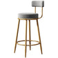 Nordic Armless Backrest Counter Stool Iron Dessert Shop Bar Stool with Cushion and Pedal Clearhalo 'Bar Furniture' 'Bar Stools' 'bar_stools' 'furn' 'furn_bar_stools' 'Furniture' 'furniture_bar_stools' 'Kitchen & Dining Furniture' 1200x1200_9a152aa4-dea3-4351-81ee-c63abc4ef17b