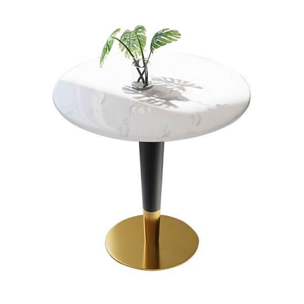 Round Marble Dinette Table Traditional Luxury Dinner Room Table for Indoor Clearhalo ' dining_table' 'Dining Tables & Seating' 'Dining Tables' 'furn' 'furn_dining_table' 'Furniture' 'furniture_dining_table' 'Kitchen & Dining Furniture' 'kitchen&dining_furn' 'kitchen' 'kitchen_dining_table' 1200x1200_9a22a6be-af67-47b3-9fe7-294d80931300