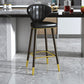 Nordic Glam Style Bar-stool PU Leather Counter Bar Stool with Metal Legs Clearhalo 'Bar Furniture' 'Bar Stools' 'bar_stools' 'furn' 'furn_bar_stools' 'Furniture' 'furniture_bar_stools' 'Kitchen & Dining Furniture' 1200x1200_9a2cd6e8-d477-4fc3-a8e4-dee6c1c2d212