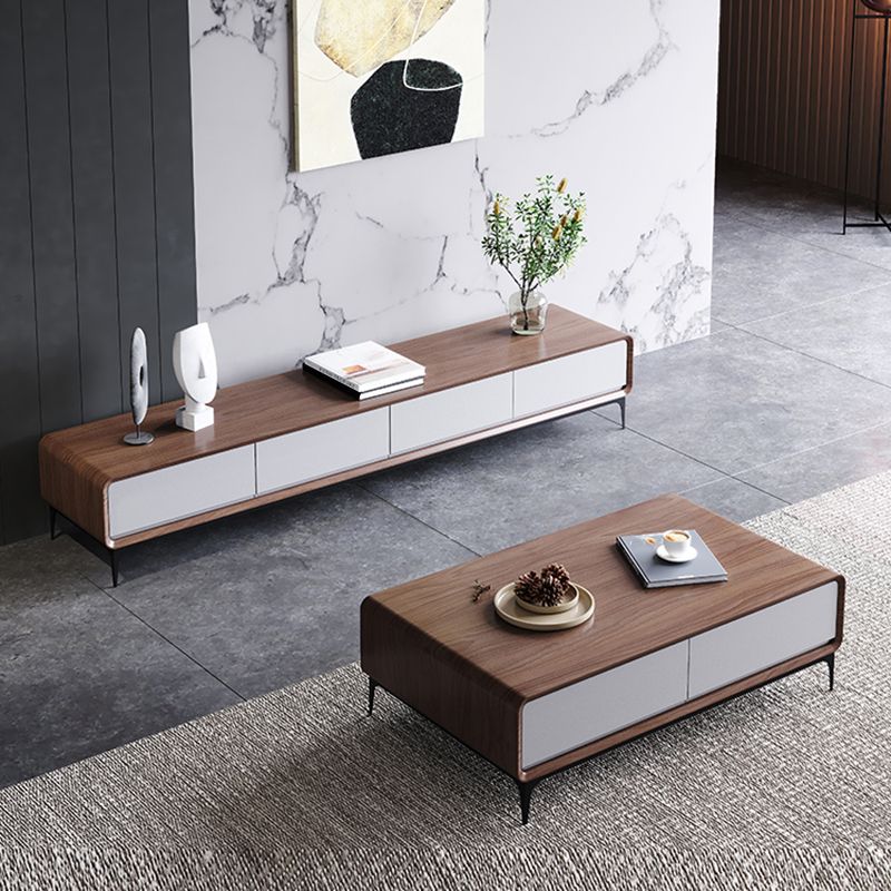 Zeitgenössischer TV -Ständer geschlossene Speicher -TV -Konsole mit Schubladen