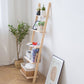 Contemporary Ladder Bookcase Solid Wood Open Back Bookshelf with Shelves Clearhalo 'Bookcases' 'furn' 'furn_bookcases' 'Furniture' 'Office Furniture' 1200x1200_9aad6e37-cdf8-4c29-8d7d-b820aa17f08c