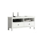 White Contemporary TV Stand Faux Wood TV Cabinet with Drawers Clearhalo 'furn' 'furn_tv_stands_entertainment_centers' 'Furniture' 'Living Room Furniture' 'TV Stands & Entertainment Centers' 'TV Stands & Media Storage Furniture' 'tv_stands_entertainment_centers' 1200x1200_9ab96b3c-6a0d-4380-a38c-b352beef23ab